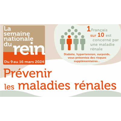 Dépistage des maladies rénales